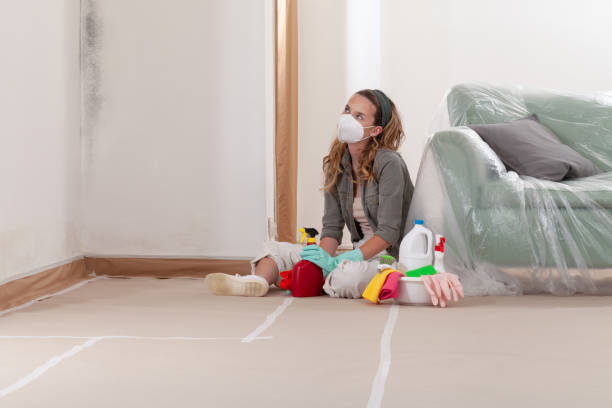 Reliable Crawl Space Mold Removal contractor in Fort Myers, FL by WQB Mold Removal